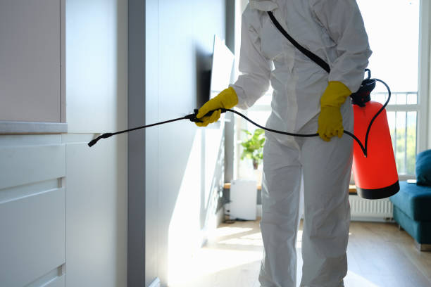 Best Mold Remediation for Specific Building Types in Cassville, WV