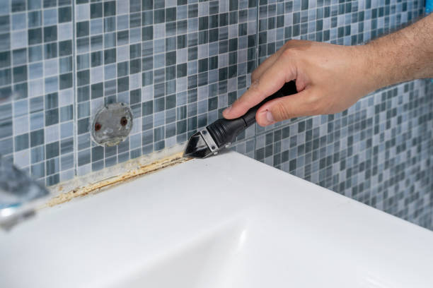 Best Mold Testing and Inspection Services in Cassville, WV