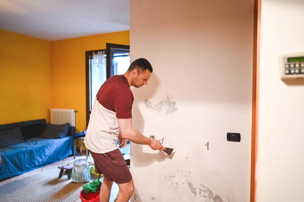 Professional Mold Remediation in Cassville, WV